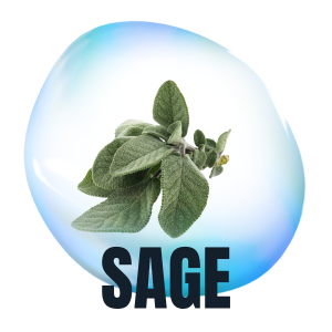 Sage
