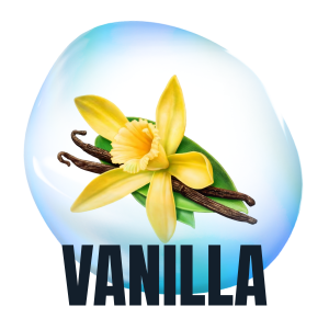 Vanilla